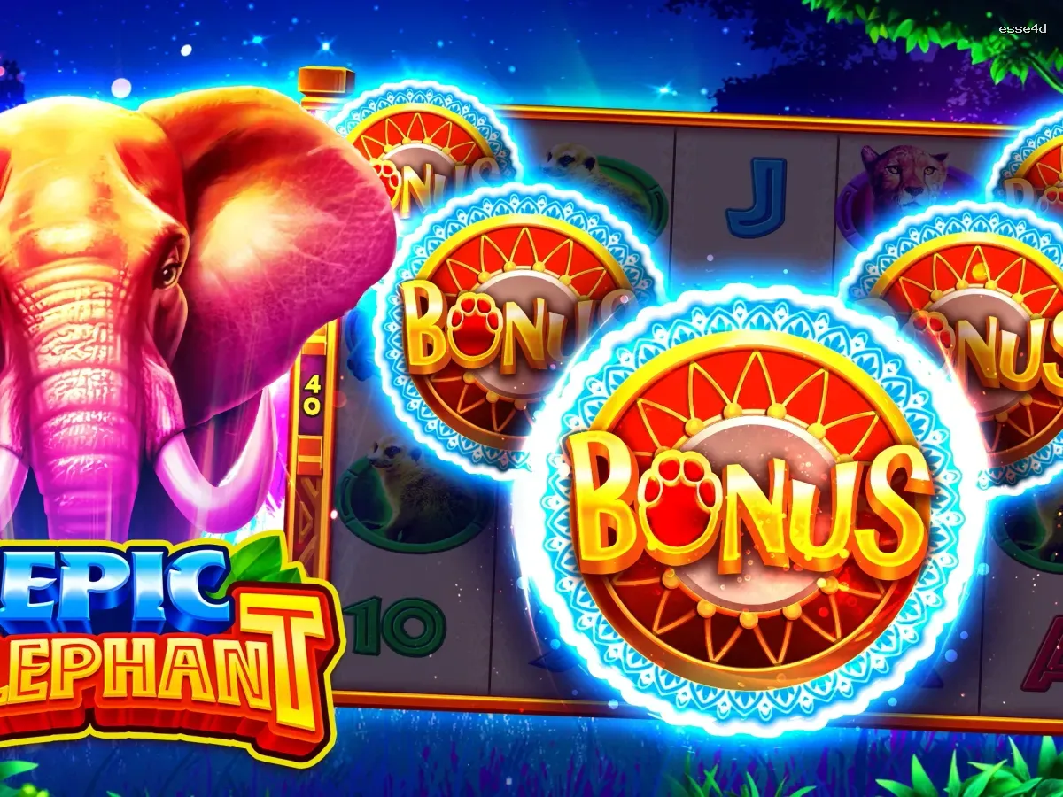 Akses esse4d VIP Premium screenshot